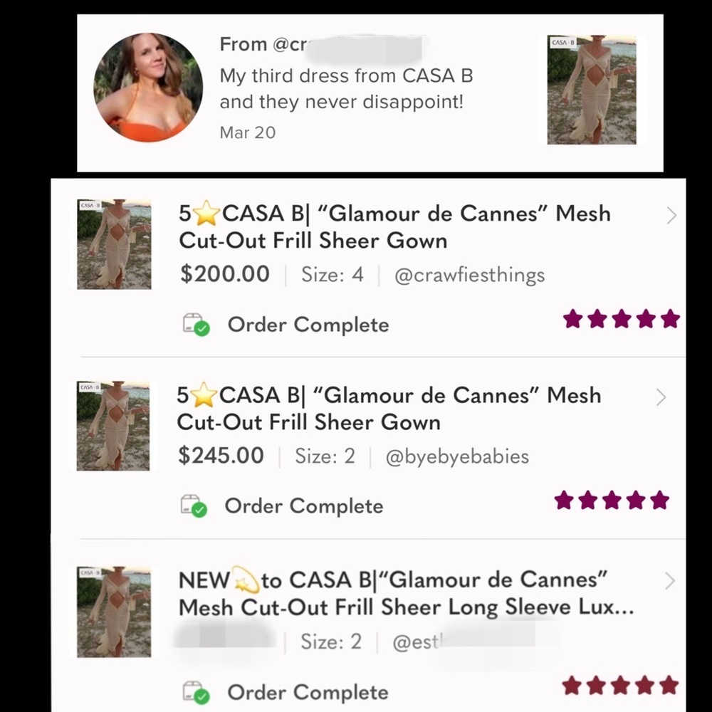 5⭐️CASA B| “Glamour de Cannes” Mesh Cut-Out Frill Sheer Gown - Picture 15 of 17
